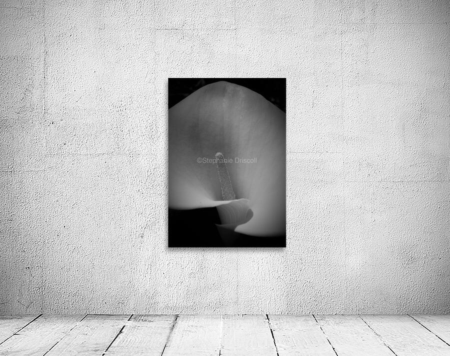 Dark spaces Wall Preview