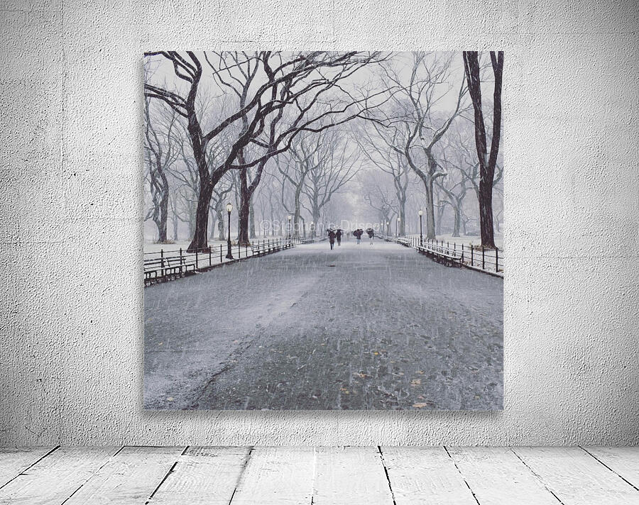 Central Park  Wall Preview