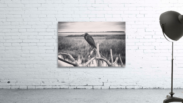 Coastal Bird  Wall Preview