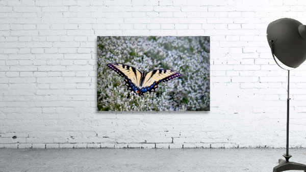 Butterfly Garden  Wall Preview