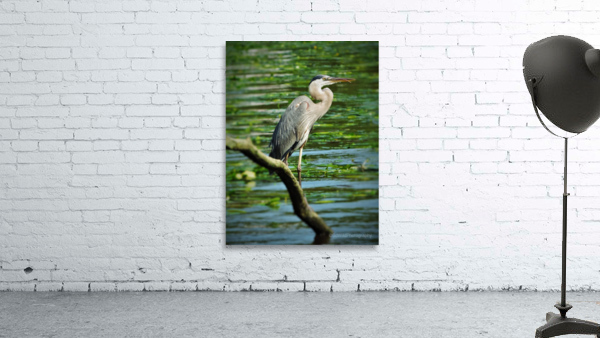 Marsh Friends Wall Preview