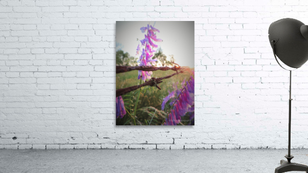 Barbed Wire Wall Preview