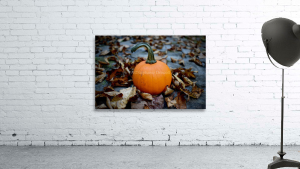 Pumpkin Spice  Wall Preview