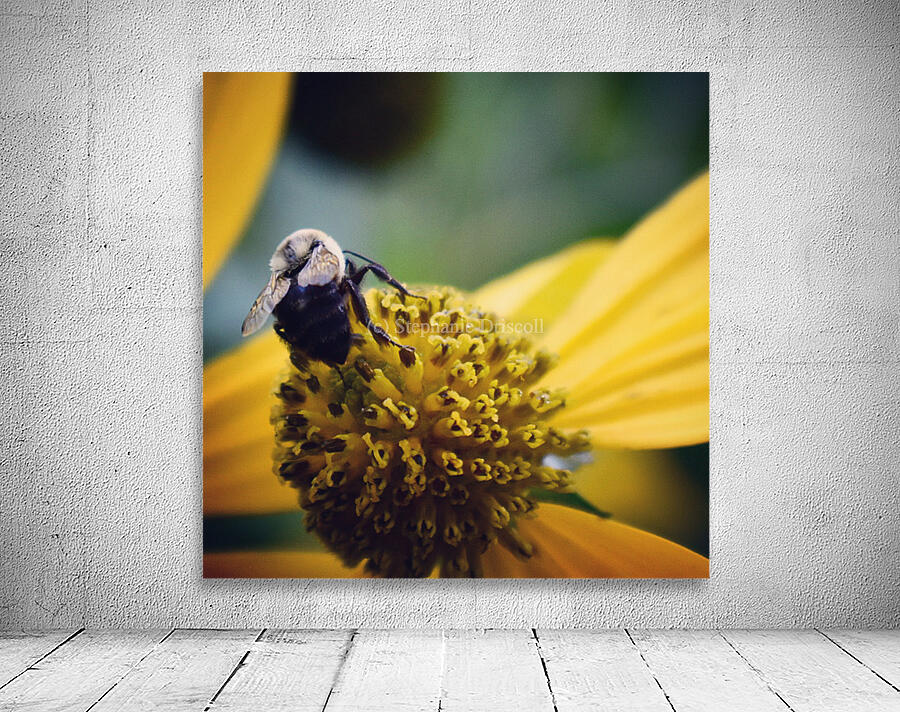 Bee Yourself  Wall Preview