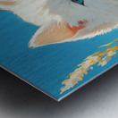 Beautiful cat  Metal print