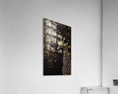 Gold Giraffe Design with Black Background 8 Acrylic Print