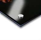 Ginger with a Celtic tattoo Acrylic print