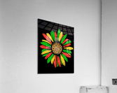 Ethiopian flag sunflower Acrylic Print