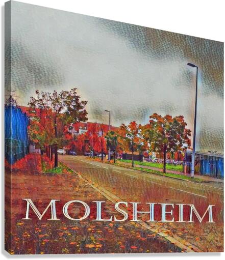 Landscape Molsheim Paris Canvas Print