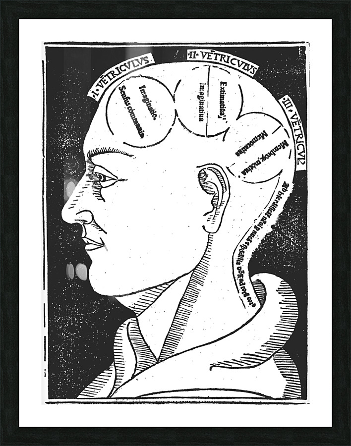 Vintage brain description Picture Frame print