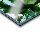 Windswept palm Acrylic print