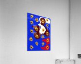 Pleasant 17 SL Acrylic Print