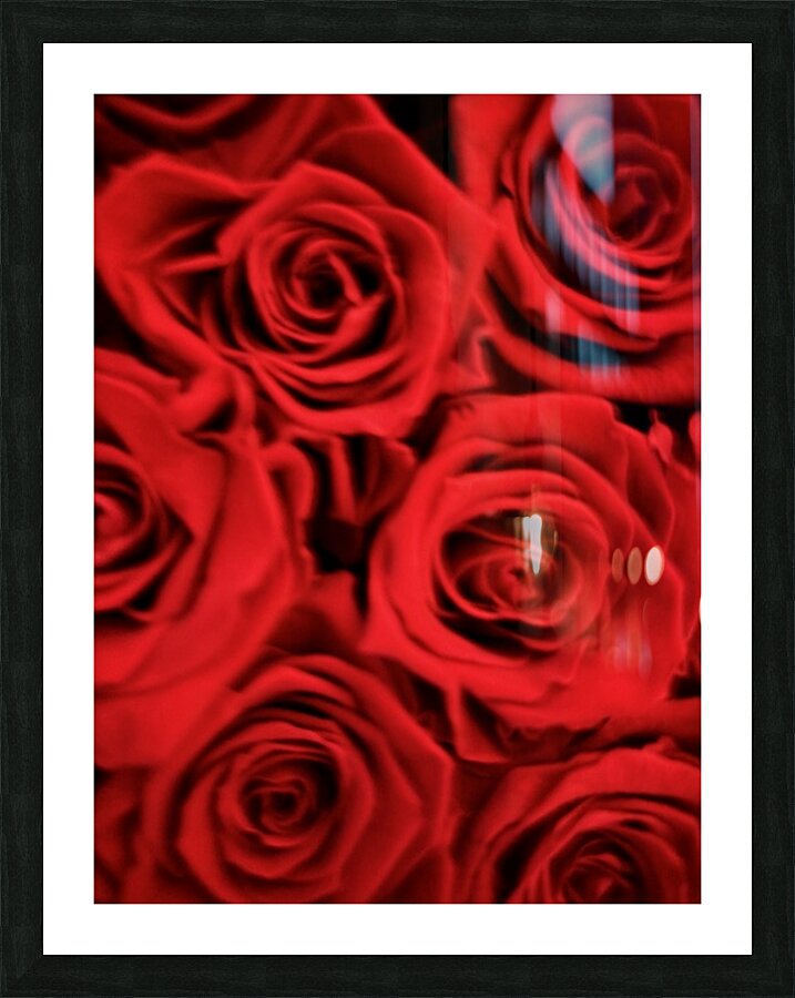 Roses SL Picture Frame print