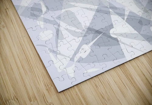 Clopernicus Smooth Landing Designs puzzle