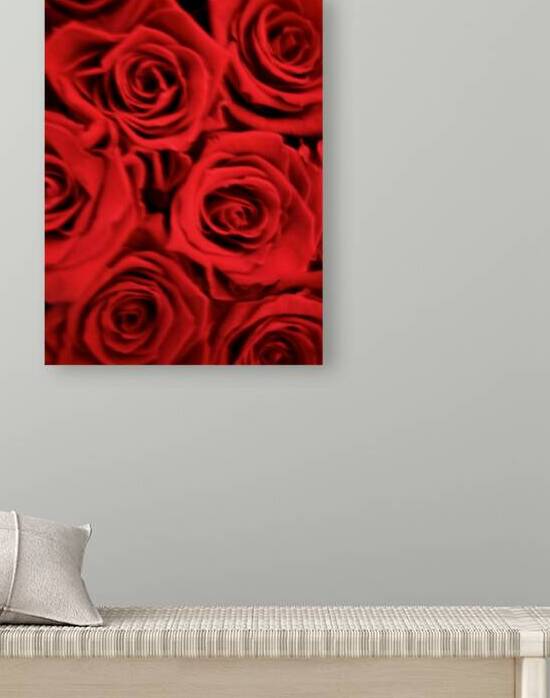 Roses SL by Smooth Landing Designs