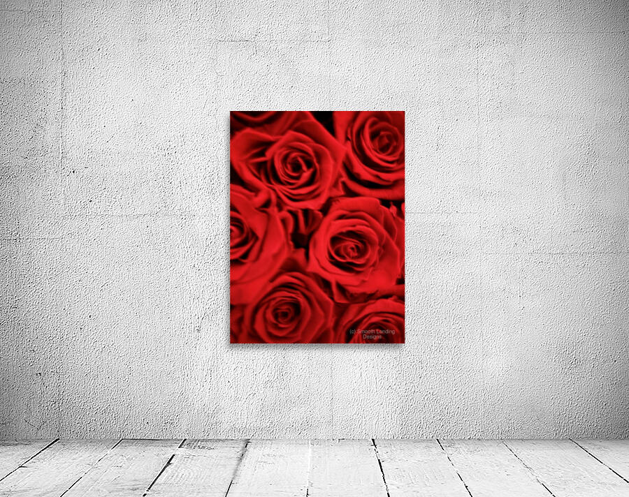 Roses SL Wall Preview