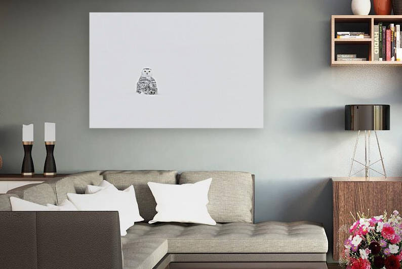 Snowyowl Harfangdesneiges oiseaux birds winter by Claude Beaubien