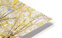 Lake HD Metal print