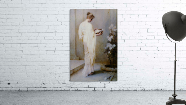 Divinely Fair Wall Preview
