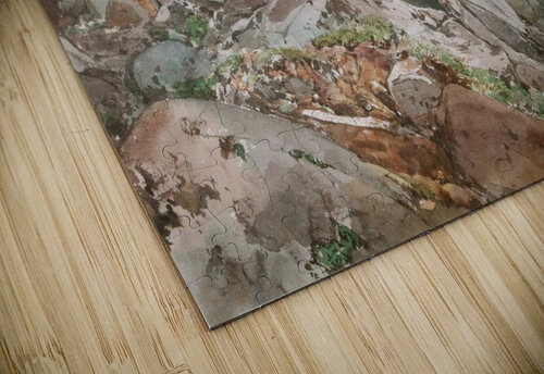 Rocks Thomas Ender puzzle