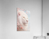 Majestic White Lion in Cherry Blossom Dream 1 Acrylic Print