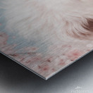 Majestic White Lion in Cherry Blossom Dream 1 Metal print