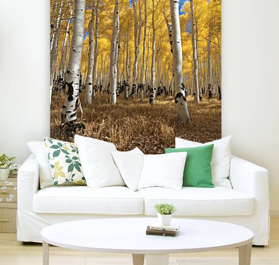 Aspen Leafers Dream Reproduction
