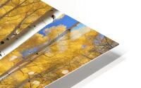 Aspen Leafers Dream HD Metal print
