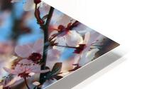 Spring flower power HD Metal print