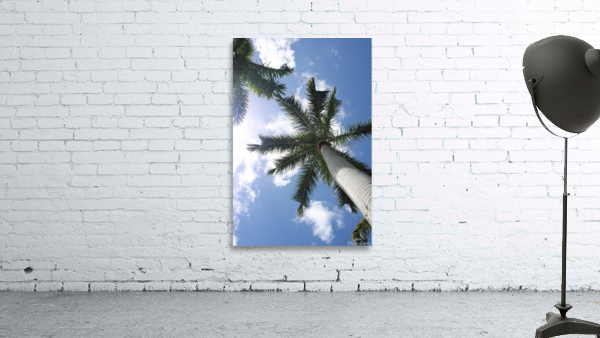 Paradise 1 Wall Preview