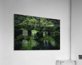 Forest Fern Acrylic Print