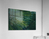 Drops Acrylic Print