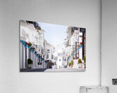 Stroll Acrylic Print