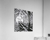 Elevate Acrylic Print