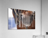 Froth Acrylic Print