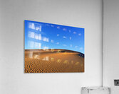 Tracks Acrylic Print