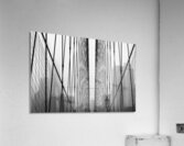 Barriers Acrylic Print