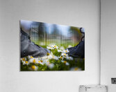Never Surrender Acrylic Print