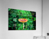 Spawn Acrylic Print