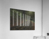 Passing Through Acrylic Print