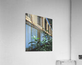 Rust Acrylic Print