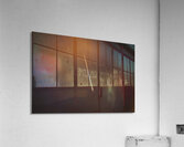 Silk Acrylic Print