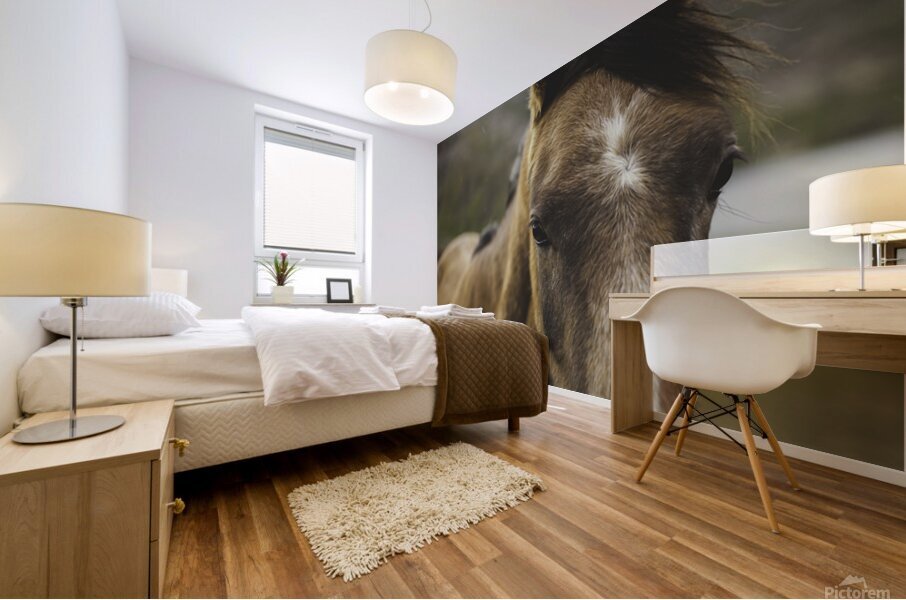 Watcher Mural print