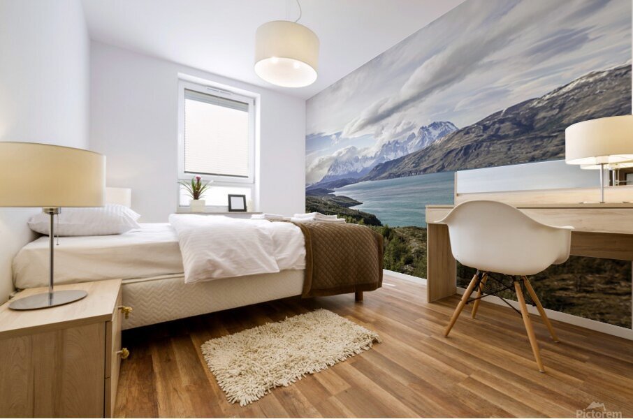 Expanse Mural print
