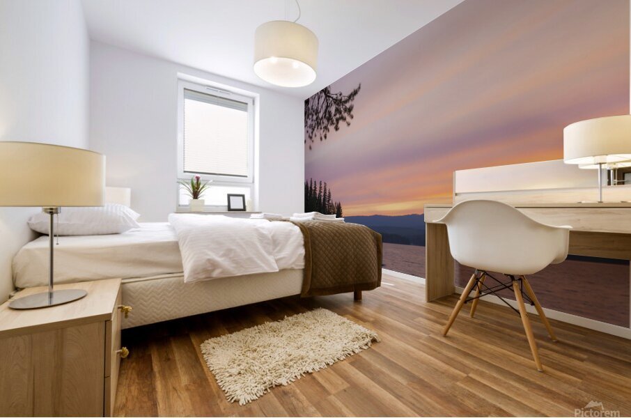 Evening Paddle Mural print