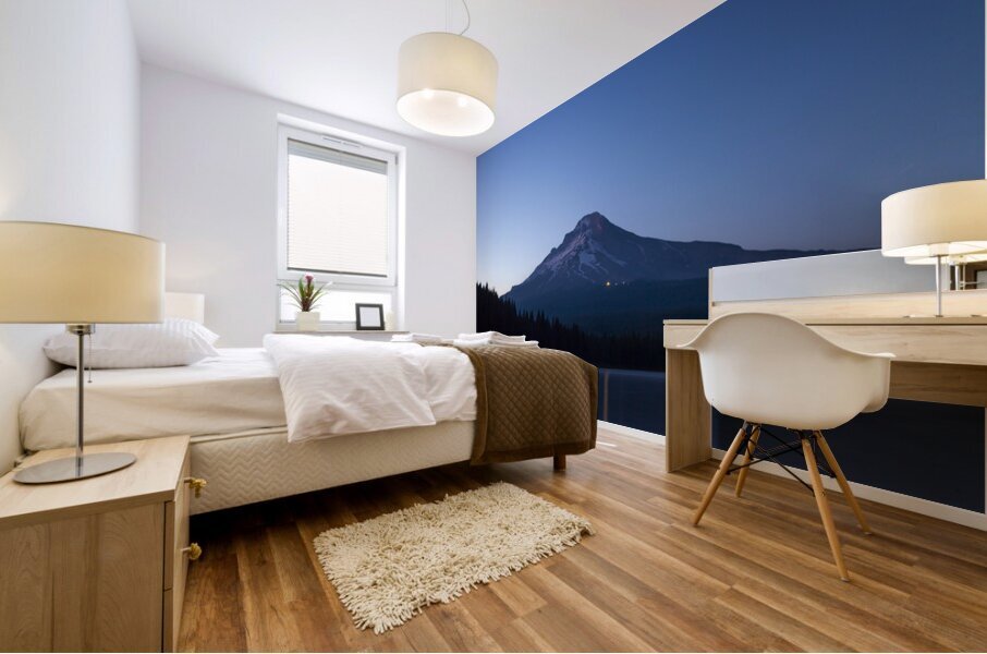 Deep Blue Mural print
