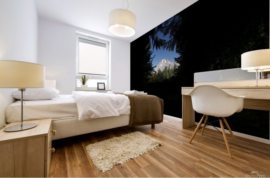 Focus Mural print
