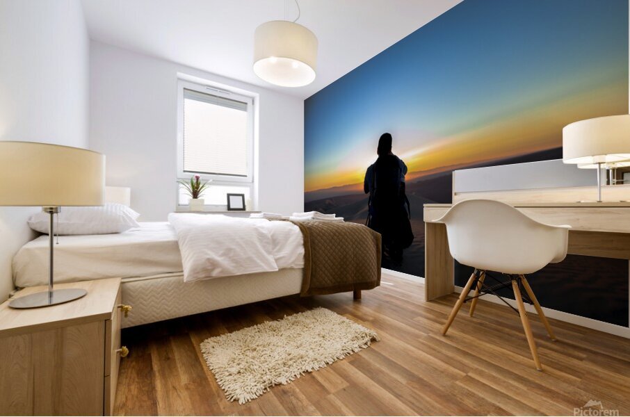 Shade Mural print
