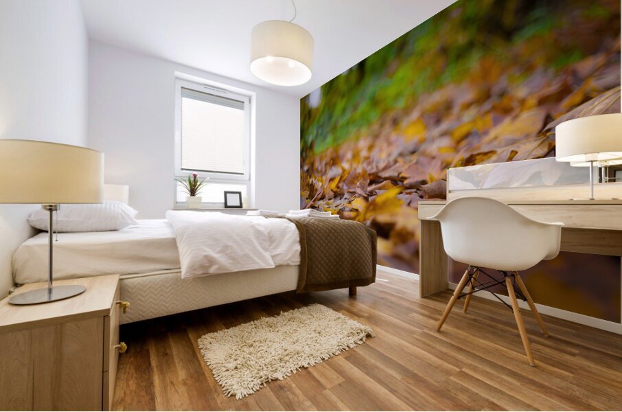 Autumn Change Mural print