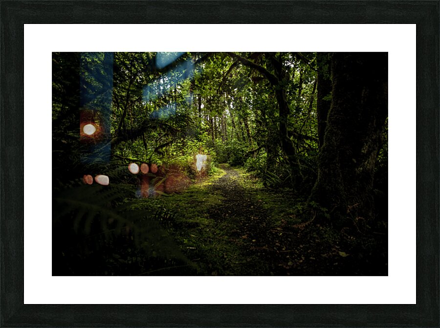 Quiet Wandering Picture Frame print